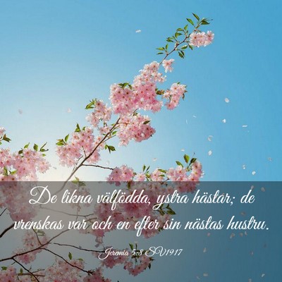 Picture 03 - Jeremia 5:8 SV1917 - De likna välfödda, ystra hästar; de vrenskas - Bible Verse Picture