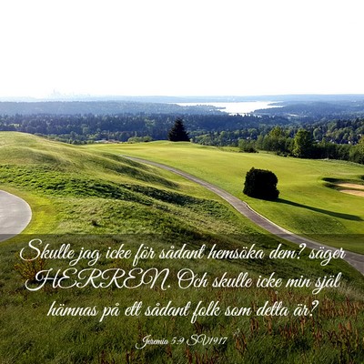 Picture 03 - Jeremia 5:9 SV1917 - Skulle jag icke för sådant hemsöka dem? säger - Bible Verse Picture