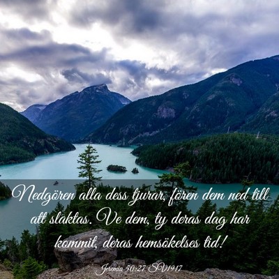 Picture 03 - Jeremia 50:27 SV1917 - Nedgören alla dess tjurar, fören dem ned till - Bible Verse Picture