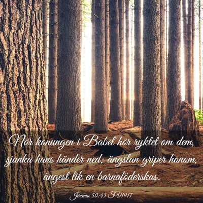 Picture 03 - Jeremia 50:43 SV1917 - När konungen i Babel hör ryktet om dem, sjunka - Bible Verse Picture