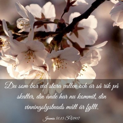Picture 03 - Jeremia 51:13 SV1917 - Du som bor vid stora vatten och är så rik på - Bible Verse Picture
