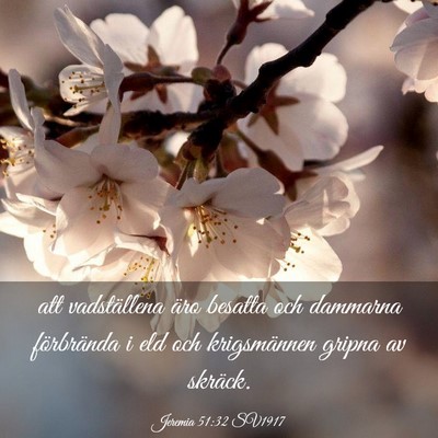Picture 03 - Jeremia 51:32 SV1917 - att vadställena äro besatta och dammarna - Bible Verse Picture