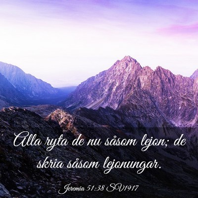 Picture 03 - Jeremia 51:38 SV1917 - Alla ryta de nu såsom lejon; de skria såsom - Bible Verse Picture