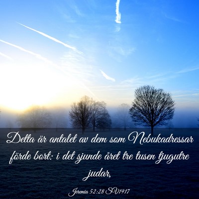 Picture 03 - Jeremia 52:28 SV1917 - Detta är antalet av dem som Nebukadressar förde - Bible Verse Picture