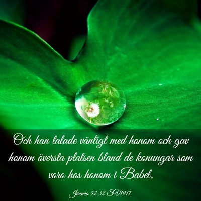 Picture 03 - Jeremia 52:32 SV1917 - Och han talade vänligt med honom och gav honom - Bible Verse Picture