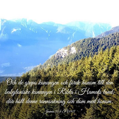 Picture 03 - Jeremia 52:9 SV1917 - Och de grepo konungen och förde honom till den - Bible Verse Picture