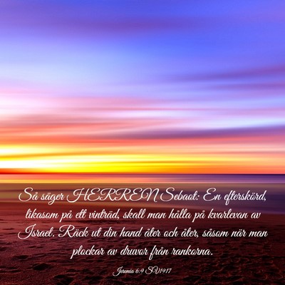 Picture 03 - Jeremia 6:9 SV1917 - Så säger HERREN Sebaot: En efterskörd, likasom - Bible Verse Picture