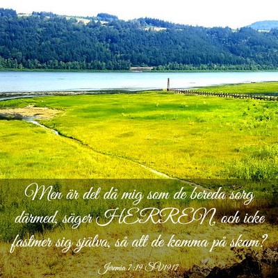 Picture 03 - Jeremia 7:19 SV1917 - Men är det då mig som de bereda sorg därmed, - Bible Verse Picture