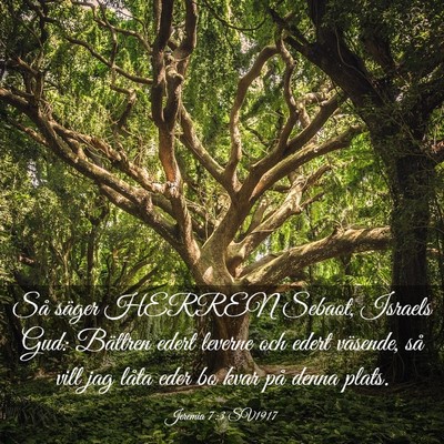 Picture 03 - Jeremia 7:3 SV1917 - Så säger HERREN Sebaot, Israels Gud: Bättren - Bible Verse Picture