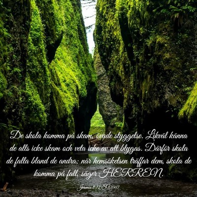 Picture 03 - Jeremia 8:12 SV1917 - De skola komma på skam, övade styggelse. - Bible Verse Picture