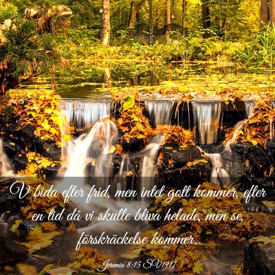 Picture 03 - Jeremia 8:15 SV1917 - V bida efter frid, men intet gott kommer, efter - Bible Verse Picture
