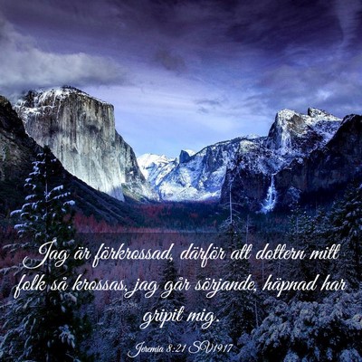 Picture 03 - Jeremia 8:21 SV1917 - Jag är förkrossad, därför att dottern mitt - Bible Verse Picture