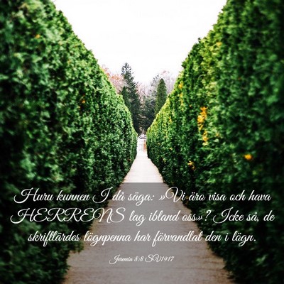 Picture 03 - Jeremia 8:8 SV1917 - Huru kunnen I då säga: »Vi äro visa och hava - Bible Verse Picture
