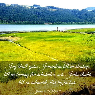 Picture 03 - Jeremia 9:11 SV1917 - Jag skall göra Jerusalem till en stenhop, till - Bible Verse Picture