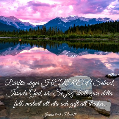 Picture 03 - Jeremia 9:15 SV1917 - Därför säger HERREN Sebaot, Israels Gud, så: - Bible Verse Picture