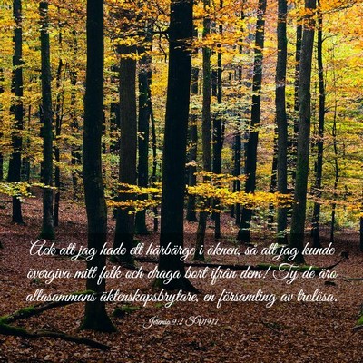 Picture 03 - Jeremia 9:2 SV1917 - Ack att jag hade ett härbärge i öknen, så att - Bible Verse Picture