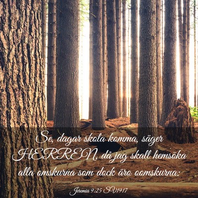 Picture 03 - Jeremia 9:25 SV1917 - Se, dagar skola komma, säger HERREN, då jag - Bible Verse Picture