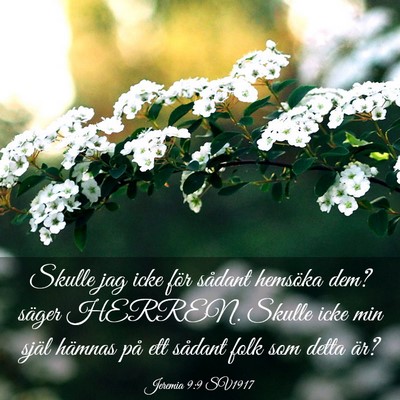 Picture 03 - Jeremia 9:9 SV1917 - Skulle jag icke för sådant hemsöka dem? säger - Bible Verse Picture