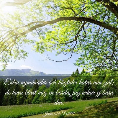 Picture 03 - Jesaja 1:14 SV1917 - Edra nymånader och högtider hatar min själ; de - Bible Verse Picture