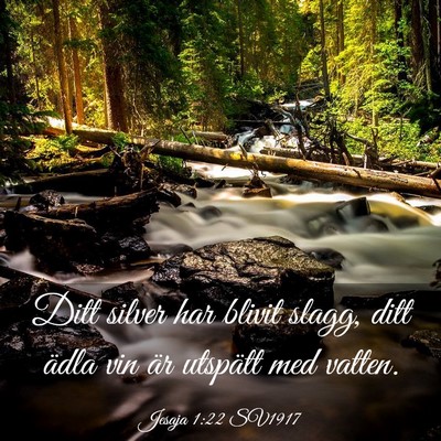 Picture 03 - Jesaja 1:22 SV1917 - Ditt silver har blivit slagg, ditt ädla vin är - Bible Verse Picture