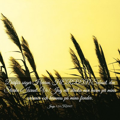 Picture 03 - Jesaja 1:24 SV1917 - Därför säger Herren, HERREN Sebaot, den Starke - Bible Verse Picture