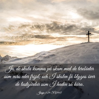 Picture 03 - Jesaja 1:29 SV1917 - Ja, de skola komma på skam med de terebinter som - Bible Verse Picture