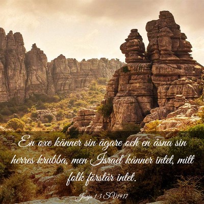 Picture 03 - Jesaja 1:3 SV1917 - En oxe känner sin ägare och en åsna sin herres - Bible Verse Picture