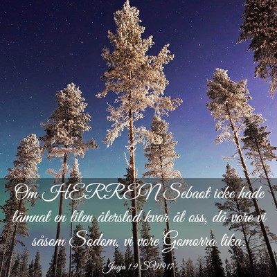 Picture 03 - Jesaja 1:9 SV1917 - Om HERREN Sebaot icke hade lämnat en liten - Bible Verse Picture