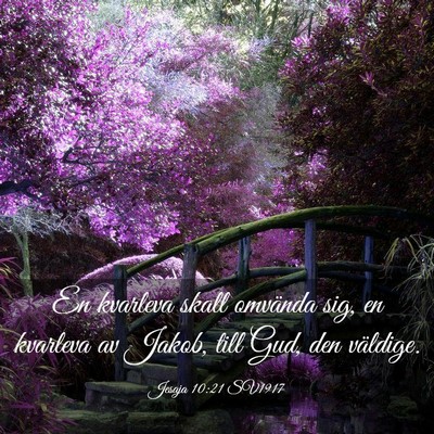 Picture 03 - Jesaja 10:21 SV1917 - En kvarleva skall omvända sig, en kvarleva av - Bible Verse Picture