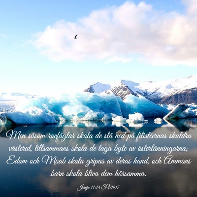 Picture 03 - Jesaja 11:14 SV1917 - Men såsom rovfåglar skola de slå ned på - Bible Verse Picture