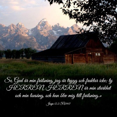 Picture 03 - Jesaja 12:2 SV1917 - Se, Gud är min frälsning, jag är trygg och - Bible Verse Picture