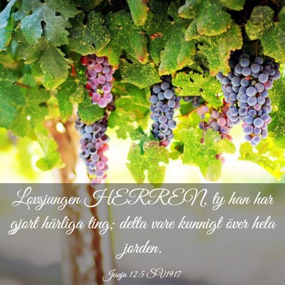 Picture 03 - Jesaja 12:5 SV1917 - Lovsjungen HERREN, ty han har gjort härliga - Bible Verse Picture