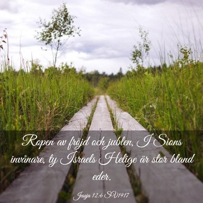 Picture 03 - Jesaja 12:6 SV1917 - Ropen av fröjd och jublen, I Sions invånare, ty - Bible Verse Picture