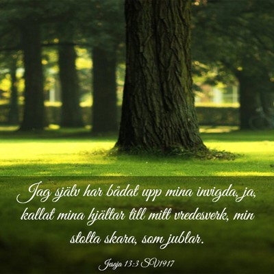 Picture 03 - Jesaja 13:3 SV1917 - Jag själv har bådat upp mina invigda, ja, - Bible Verse Picture