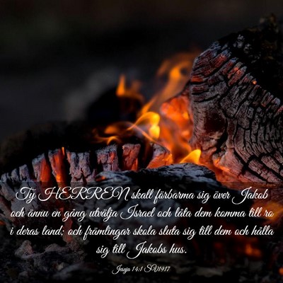 Picture 03 - Jesaja 14:1 SV1917 - Ty HERREN skall förbarma sig över Jakob och - Bible Verse Picture