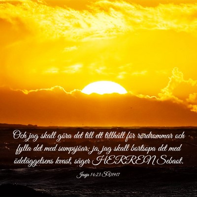 Picture 03 - Jesaja 14:23 SV1917 - Och jag skall göra det till ett tillhåll för - Bible Verse Picture