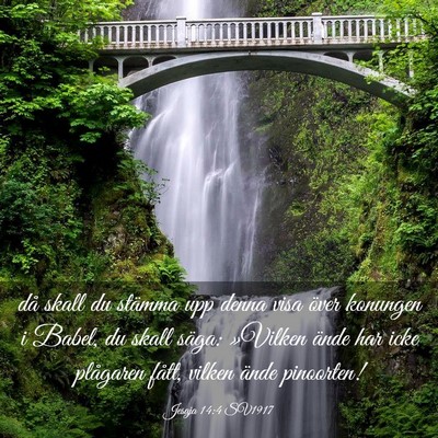 Picture 03 - Jesaja 14:4 SV1917 - då skall du stämma upp denna visa över - Bible Verse Picture