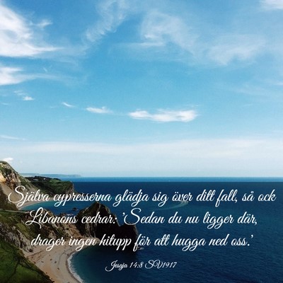 Picture 03 - Jesaja 14:8 SV1917 - Själva cypresserna glädja sig över ditt fall, - Bible Verse Picture