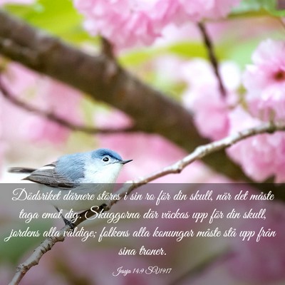 Picture 03 - Jesaja 14:9 SV1917 - Dödsriket därnere störes i sin ro för din - Bible Verse Picture