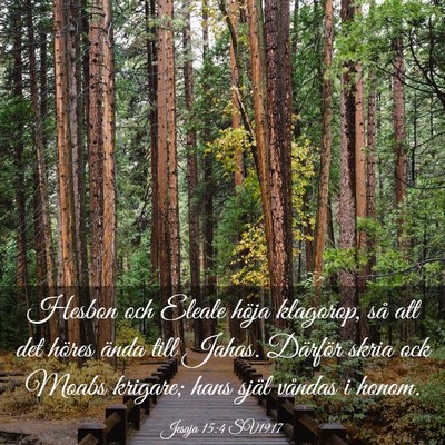 Picture 03 - Jesaja 15:4 SV1917 - Hesbon och Eleale höja klagorop, så att det - Bible Verse Picture