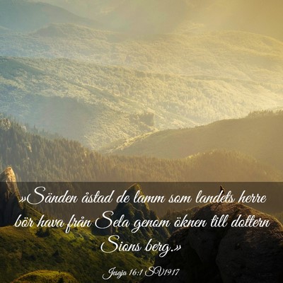 Picture 03 - Jesaja 16:1 SV1917 - »Sänden åstad de lamm som landets herre bör - Bible Verse Picture