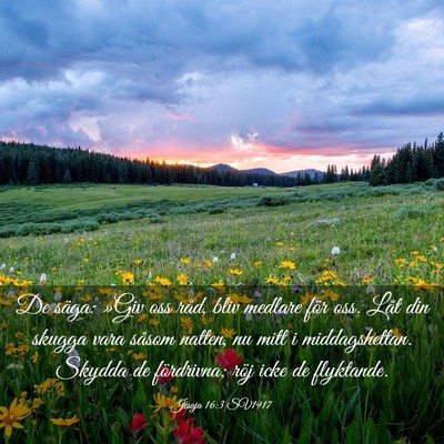 Picture 03 - Jesaja 16:3 SV1917 - De säga: »Giv oss råd, bliv medlare för oss. - Bible Verse Picture
