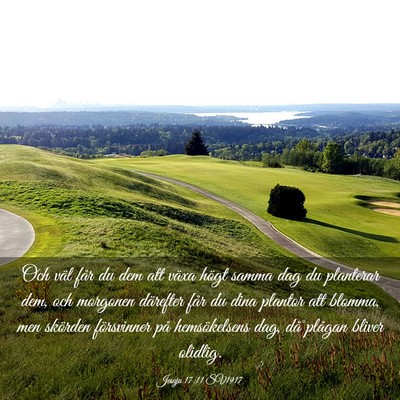 Picture 03 - Jesaja 17:11 SV1917 - Och väl får du dem att växa högt samma dag du - Bible Verse Picture