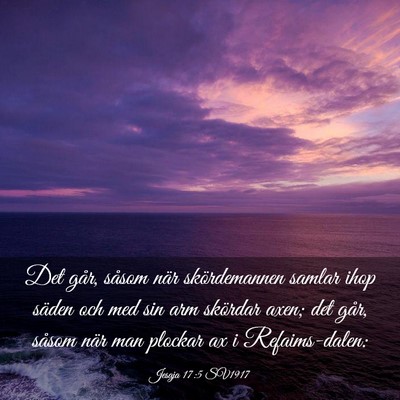 Picture 03 - Jesaja 17:5 SV1917 - Det går, såsom när skördemannen samlar ihop - Bible Verse Picture