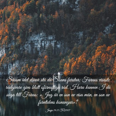 Picture 03 - Jesaja 19:11 SV1917 - Såsom idel dårar stå då Soans furstar; Faraos - Bible Verse Picture