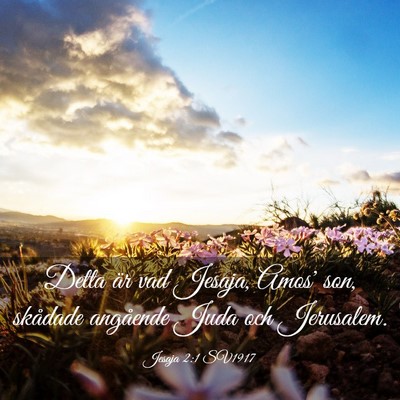 Picture 03 - Jesaja 2:1 SV1917 - Detta är vad Jesaja, Amos' son, skådade - Bible Verse Picture