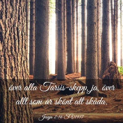 Picture 03 - Jesaja 2:16 SV1917 - över alla Tarsis-skepp, ja, över allt som är - Bible Verse Picture
