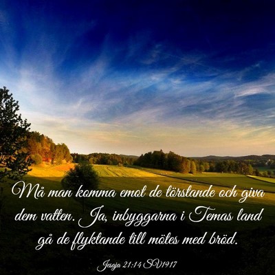 Picture 03 - Jesaja 21:14 SV1917 - Må man komma emot de törstande och giva dem - Bible Verse Picture