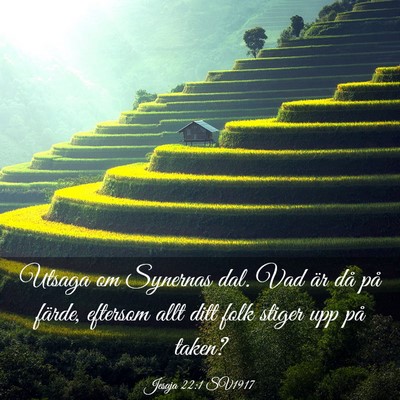 Picture 03 - Jesaja 22:1 SV1917 - Utsaga om Synernas dal. Vad är då på färde, - Bible Verse Picture