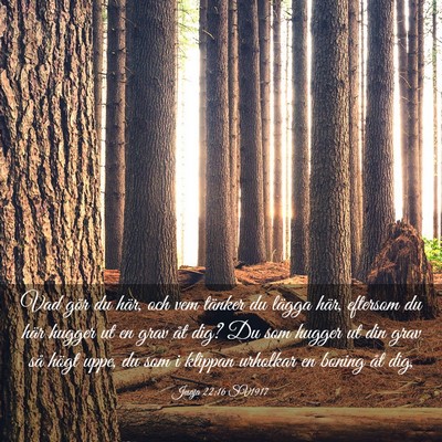Picture 03 - Jesaja 22:16 SV1917 - Vad gör du här, och vem tänker du lägga här, - Bible Verse Picture